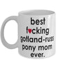 Funny Horse Mug B3st F-cking Gotland-Russ Pony Mom Ever Coffee Cup White