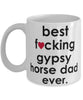 Funny Horse Mug B3st F-cking Gypsy Horse Dad Ever Coffee Cup White