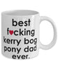 Funny Horse Mug B3st F-cking Kerry Bog Pony Dad Ever Coffee Cup White