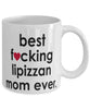 Funny Horse Mug B3st F-cking Lipizzan Mom Ever Coffee Cup White