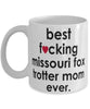Funny Horse Mug B3st F-cking Missouri Fox Trotter Mom Ever Coffee Cup White