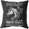 Funny Horse Pillows Love For That Horse Smell Or The Peace It Brings The Soul