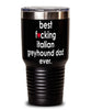 Funny Italian Greyhound Dog Tumbler B3st F-cking Italian Greyhound Dad Ever 30oz Stainless Steel