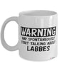 Funny Labbe Mug Warning May Spontaneously Start Talking About Labbes Coffee Cup White