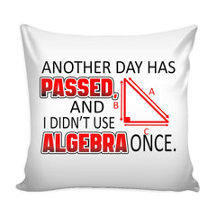 Funny Math Algebra Graphic Pillow Cover Another Day Has Passed And