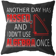 Funny Math Pillows Another Day Has Passed And  I Didnt Use Algebra Once