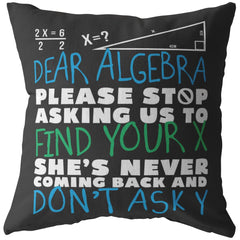 Funny Math Pillows Dear Algebra Stop Asking To Find Your X Shes Never Coming