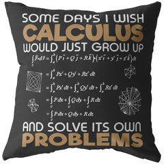 Funny Math Pillows Some Days I Wish Calculus Would Just Grow Up And Solve Its