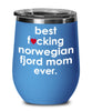 Funny Norwegian Fjord Horse Wine Glass B3st F-cking Norwegian Fjord Mom Ever 12oz Stainless Steel