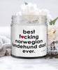Funny Norwegian Lundehund Dog Candle B3st F-cking Norwegian Lundehund Dad Ever 9oz Vanilla Scented Candles Soy Wax