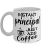 Funny Principal Mug Instant Principal Just Add Coffee Cup White