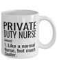 Funny Private Duty Nurse Mug Like A Normal Nurse But Much Cooler Coffee Cup 11oz 15oz White