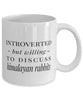 Funny Rabbit Mug Introverted But Willing To Discuss Himalayan Rabbits Coffee Mug 11oz White