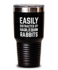 Funny Rabbit Tumbler Easily Distracted By Harlequin Rabbits Tumbler 30oz Stainless Steel