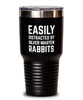 Funny Rabbit Tumbler Easily Distracted By Silver Marten Rabbits Tumbler 30oz Stainless Steel