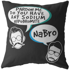 Funny Science Pillows Pardon Do You Have Any Sodium Hypobromite NaBro