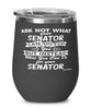 Funny Senator Wine Glass Ask Not What Your Senator Can Do For You 12oz Stainless Steel Black