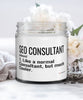 Funny SEO Consultant Candle Like A Normal Consultant But Much Cooler 9oz Vanilla Scented Candles Soy Wax
