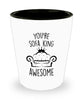 Funny Shot Glass For Dad Brother Boyfriend Husband You're Sofa King Awesome