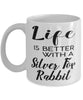 Funny Silver Fox Rabbit Mug Life Is Better With A Silver Fox Rabbit Coffee Cup 11oz 15oz White