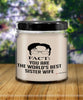 Funny Sister Wife Candle Fact You Are The Worlds B3st Sister Wife 9oz Vanilla Scented Candles Soy Wax