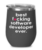 Funny Software Developer Wine Glass B3st F-cking Software Developer Ever 12oz Stainless Steel Black