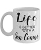 Funny Sun Conure Bird Mug Life Is Better With A Sun Conure Coffee Cup 11oz 15oz White