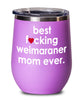 Funny Weimaraner Dog Wine Glass B3st F-cking Weimaraner Mom Ever 12oz Stainless Steel