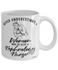 Nephrology Nurse Mug Never Underestimate A Woman Who Is Also A Nephrology Nurse Coffee Cup White