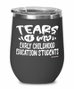 Funny Early Childhood Education Professor Teacher Wine Glass Tears Of My Early Childhood Education Students 12oz Stainless Steel Black