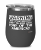 Funny Pony of the Americas Horse Wine Glass May Spontaneously Start Talking About Pony of the Americas 12oz Stainless Steel Black