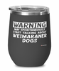 Funny Weimaraner Wine Glass Warning May Spontaneously Start Talking About Weimaraner Dogs 12oz Stainless Steel Black