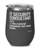 Funny IT Security Consultant Wine Glass Like A Normal Consultant But Much Cooler 12oz Stainless Steel Black