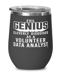 Funny Volunteer Data Analyst Wine Glass Evil Genius Cleverly Disguised As A Volunteer Data Analyst 12oz Stainless Steel Black