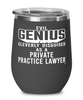 Funny Private Practice Lawyer Wine Glass Evil Genius Cleverly Disguised As A Private Practice Lawyer 12oz Stainless Steel Black