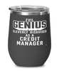 Funny Credit Manager Wine Glass Evil Genius Cleverly Disguised As A Credit Manager 12oz Stainless Steel Black