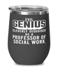 Funny Professor of Social Work Wine Glass Evil Genius Cleverly Disguised As A Professor of Social Work 12oz Stainless Steel Black