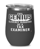 Funny Tax Examiner Wine Glass Evil Genius Cleverly Disguised As A Tax Examiner 12oz Stainless Steel Black