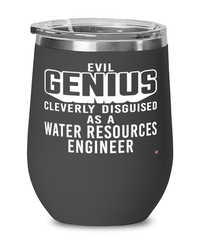 Funny Water Resources Engineer Wine Glass Evil Genius Cleverly Disguised As A Water Resources Engineer 12oz Stainless Steel Black