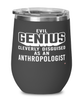 Funny Anthropologist Wine Glass Evil Genius Cleverly Disguised As An Anthropologist 12oz Stainless Steel Black