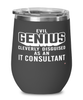 Funny IT Consultant Wine Glass Evil Genius Cleverly Disguised As An IT Consultant 12oz Stainless Steel Black