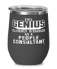 Funny People Consultant Wine Glass Evil Genius Cleverly Disguised As A People Consultant 12oz Stainless Steel Black