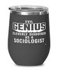 Funny Sociologist Wine Glass Evil Genius Cleverly Disguised As A Sociologist 12oz Stainless Steel Black