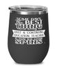 Funny Adult Continuing Education Teacher Wine Glass Some Days The Best Thing About Being An ACE Teacher is 12oz Stainless Steel Black