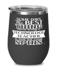 Funny Technology Teacher Wine Glass Some Days The Best Thing About Being A Technology Teacher is 12oz Stainless Steel Black