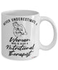 Nutritional Therapist Mug Never Underestimate A Woman Who Is Also A Nutritional Therapist Coffee Cup White