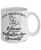 Palliative Care Specialist Mug Never Underestimate A Woman Who Is Also A Palliative Care Specialist Coffee Cup White