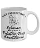 Pediatric Nurse Practitioner Mug Never Underestimate A Woman Who Is Also A Pediatric Nurse Practitioner Coffee Cup White