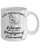 Professor of Economics Mug Never Underestimate A Woman Who Is Also A Professor of Economics Coffee Cup White