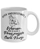 Progressive Care Nurse Mug Never Underestimate A Woman Who Is Also A Progressive Care Nurse Coffee Cup White